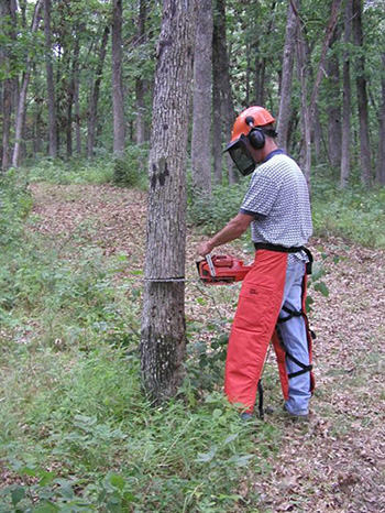 man operating a chainsaw wearing appropriate safety gear
